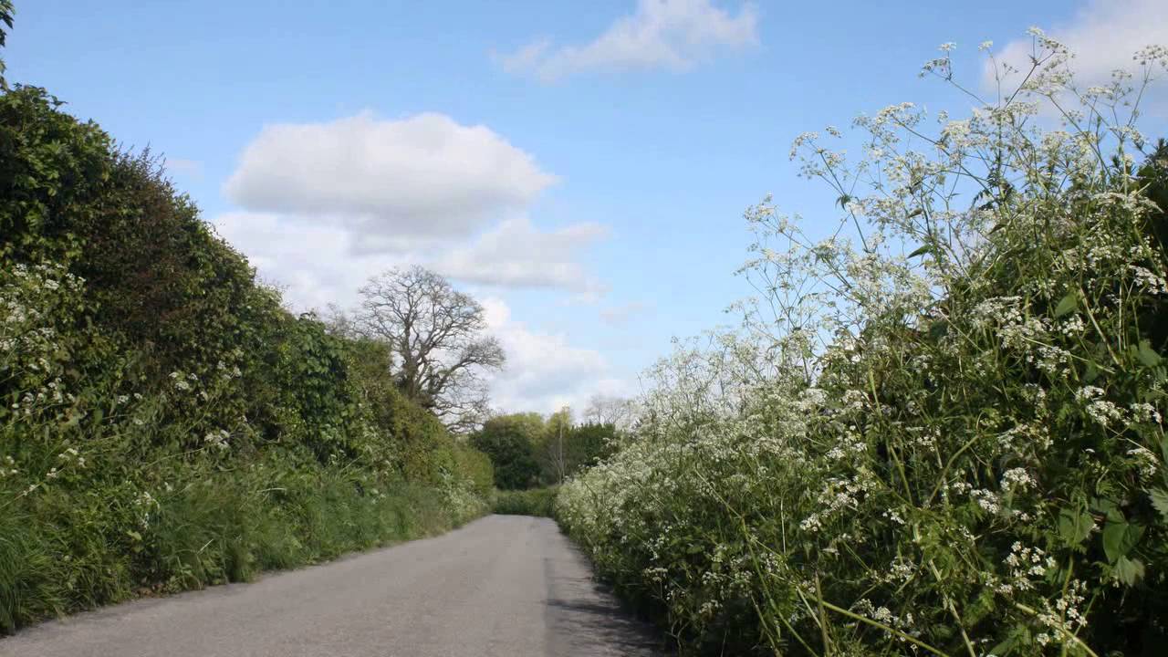 South Stoke Timelapse