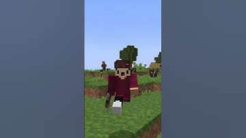 Minecraft, But It Adds Pixels Every Time...