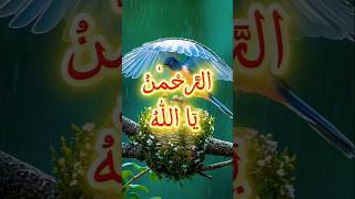 Powerful Islamic insights| powerful names of Allah #islamicreminder#shorts #islamicstatus#shortsfeed