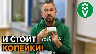 картинка: Это средство от БАКТЕРИАЛЬНОГО ОЖОГА продается в каждой аптеке!