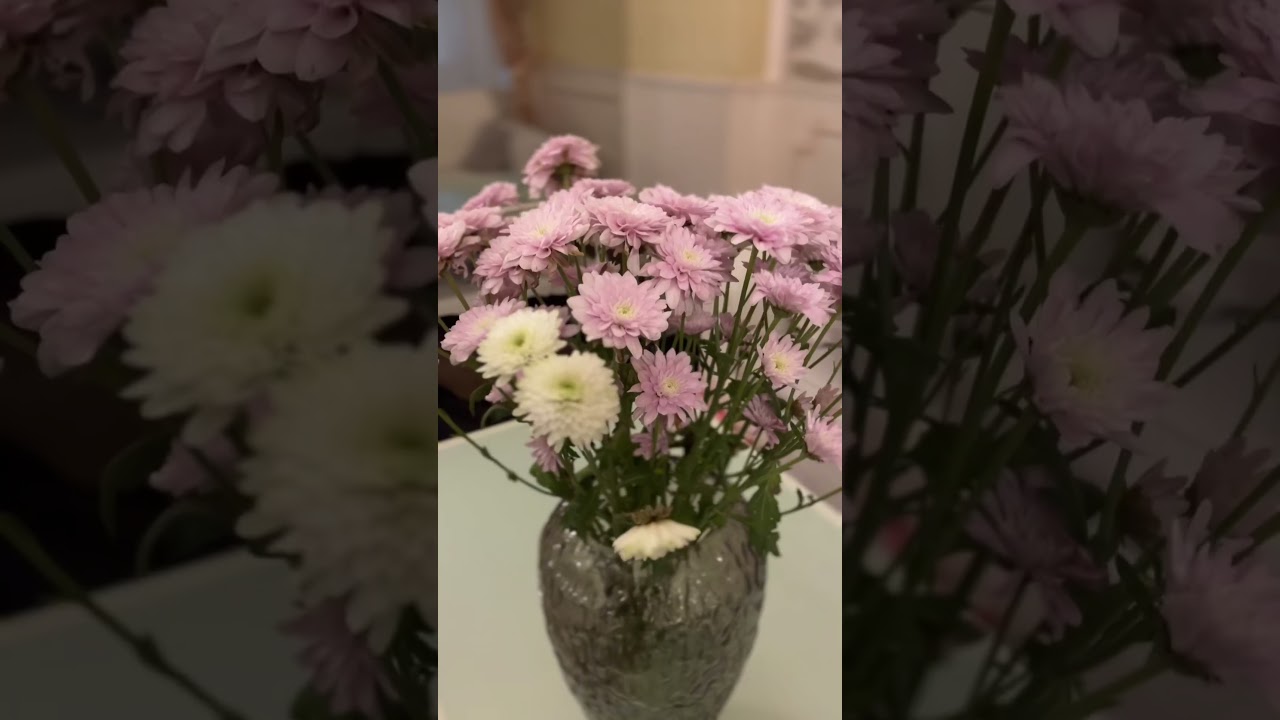 Отель Империал 