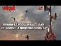 Viral Suara Panggil Langsung Nginap Ll Yg Lagi Viral Mp3 - Mp4 Download