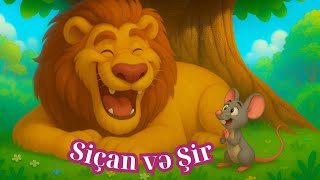 Şir Və Siçan Azərbaycan Nağılları
