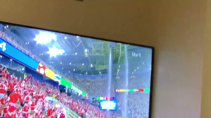 Denmark vs Germany  match suspended due to weather conditions