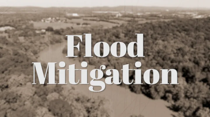 Flood Mitigation