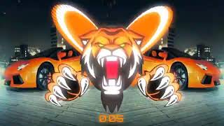 Roar of Tiger Dance Rmx UT song dj Gol2 Dj janghel  Dj Raja fx