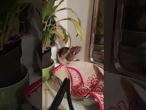 Я знаю что