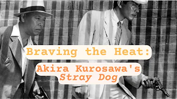 Braving the Heat: Akira Kurosawa's Stray Dog (1949)