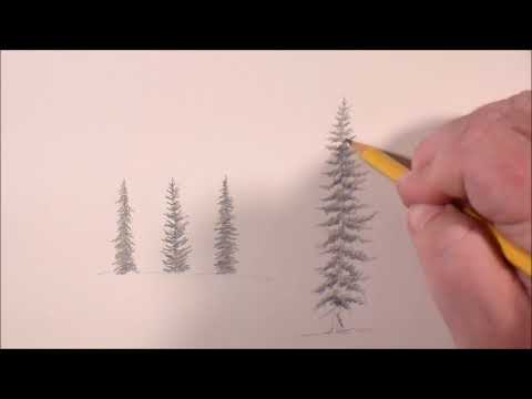 How to Draw Evergreens - YouTube