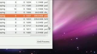 [Ubuntu 10.10] System Monitor