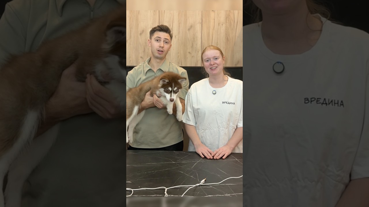 А ты идешь на компромисс? 