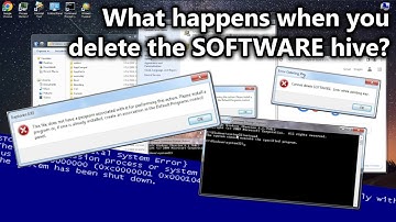 What happens when you delete the SOFTWARE registry hive?