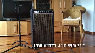'70 Solec IC-182R vintage guitar amp