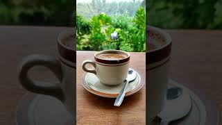 Shorts  Ngopi Mentahan No Watermark