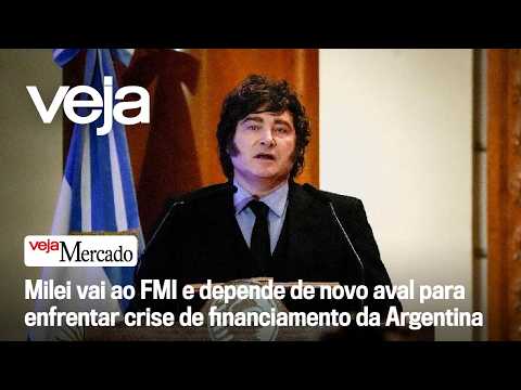 Milei turns to IMF and relies on new approval to face Argentina's financing crisis | MARKET