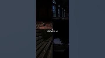 القران الكريم اللهم صلي وسلم وبارك وزد وانعم علي اشرف الخلق سيدنا محمد