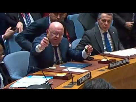 Russia's UN ambassador interrupts moment of silence for Ukranian war victims