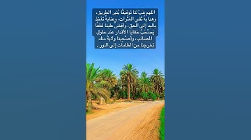 #تلاوة_خاشعة #اكسبلور #لايك #المصحف #حالة_وتساب #راحة_نفسية #قرآن_كريم_أرح_قلبك_وسمعك