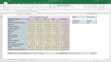 Interactive 2-Dimensional Lookup with Index/ Match/ Match & Data Validated Fields