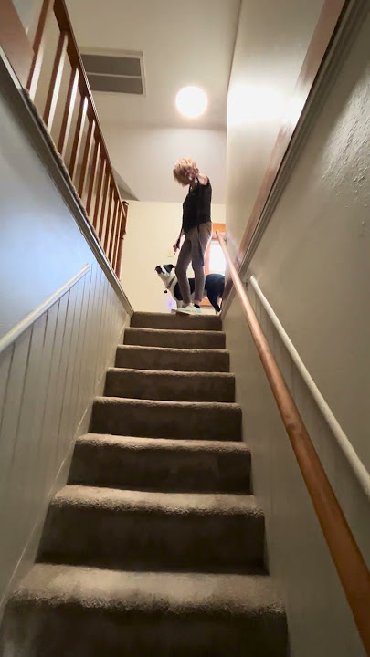 D3BC2A01 1B17 426C B14A 73EFBA417051