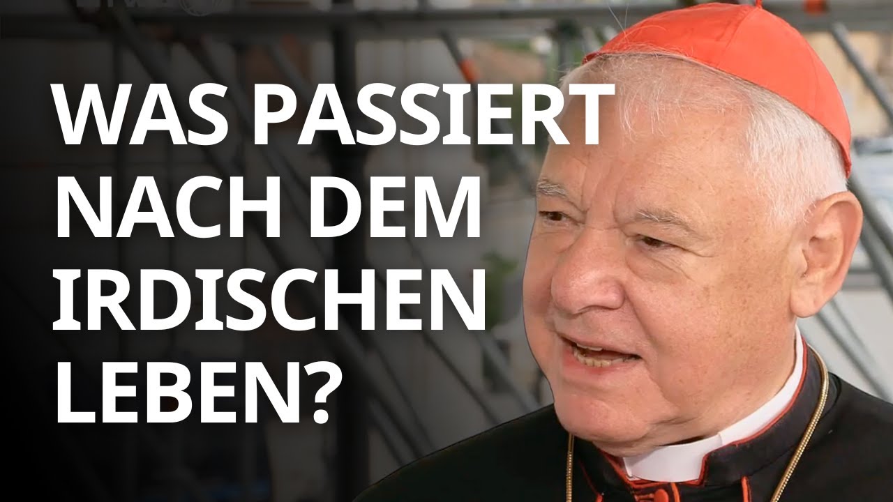 „Das Wunder der Unsterblichkeit" von Ludwig Gerhard Kardinal Müller | Nimm & Lies | Folge 16