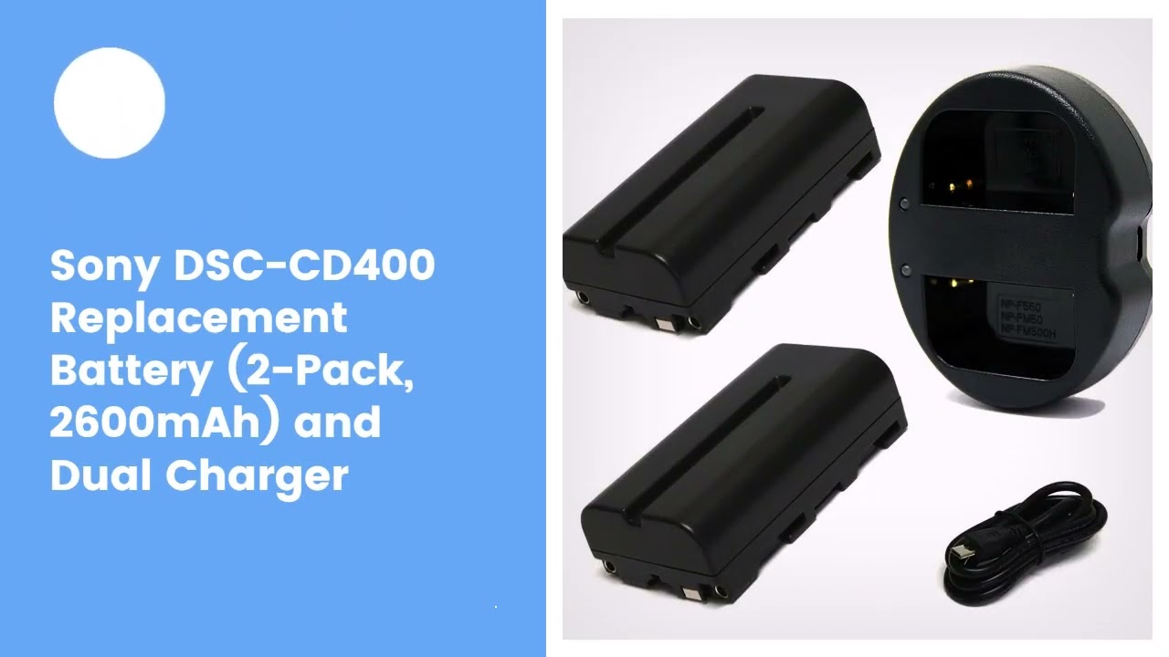 Sony DSC-CD400 Replacement Battery (2-Pack, 2600mAh) and Dual Charger