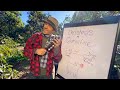 Jason Mraz - Christmas in Quarantine
