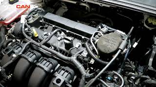 2012-2019 Ford Focus - Ignition Coil and Spark Plugs Replacement 2.0L Engine