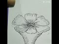 #short #flower drawing #flower sketch drawing