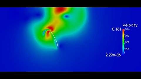 Deformable lamina oscillating with a prescribed displacement