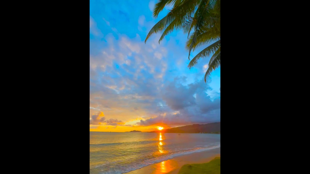 Watch Heavenlit Horizon 🌅🌊🌴🌺 #hawaii #sunset #travel #beach #paradise on YouTube Watch Heavenlit Horizon 🌅🌊🌴🌺 #hawaii #sunset #travel #beach #paradise on YouTube