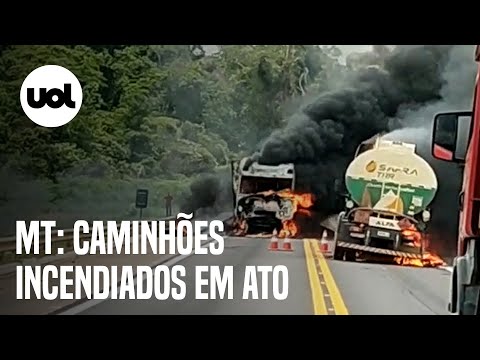 Caminhões são incendiados em meio a atos golpistas em MT