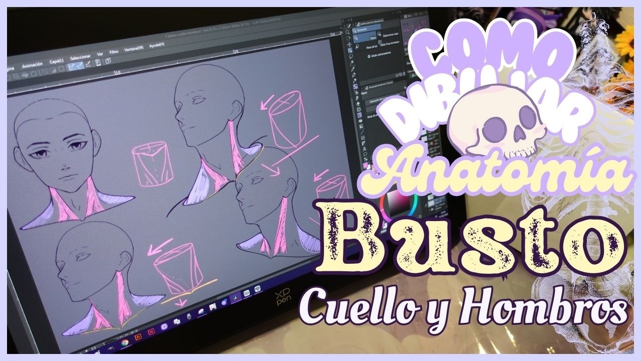 ⚡​Como dibujar ANATOMIA BUSTOS ✧ Cabeza Cuello Hombros