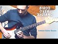 Rocco saviano  birds over xi jiang  ambient guitar session