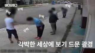 [VIDEOMUG] 인사성 좋은 동네 청년의 '반전'…재건 노린 조폭 69명 검거 / SBS