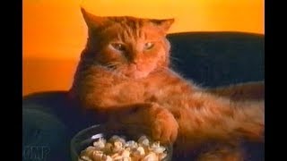 Petco (2000)