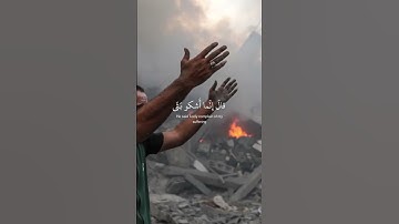 في فجر اليوم.. قلوبنا مع غزة وفلسطين 🇵🇸🕊️ | تلاوة تبعث الأمل والسكينة