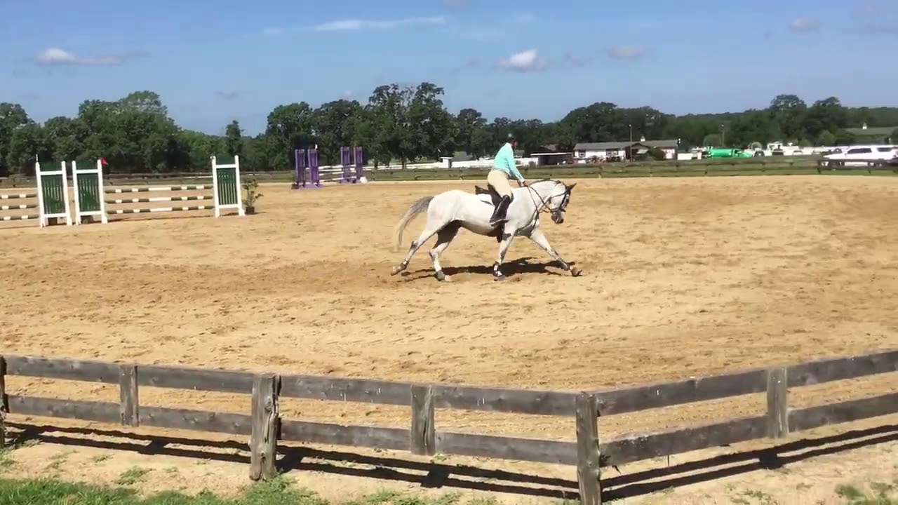 Centennial First Horse show YouTube