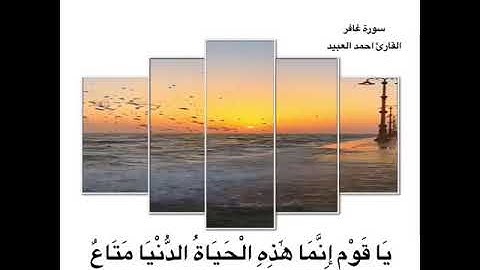 وَقَالَ الَّذِي آمَنَ) سورة غافر احمد العبيد حالات واتس