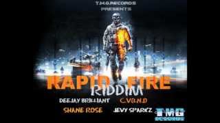 Deejay Brilliant - Mafia War - Rapid Fire Riddim - Tmg Records Dec 2012