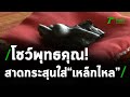 ท้าพิสูจน์ยิง "เหล็กไหล" | 11-04-64 | ไทยรัฐนิวส์โชว์