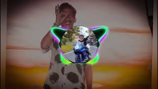 JOGET||TELUK BANABUNGI🏝️🔥🔥|| DONY PROJECT 💻💻💻💻🌴🏝️