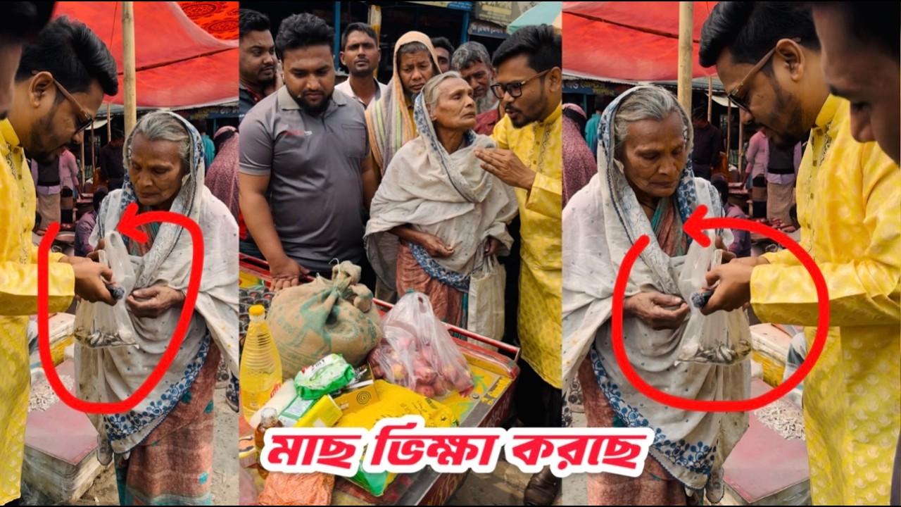 রোজার দিনে মাটিতে পড়ে থাকা মাছ কুড়াচ্ছে এতিম বিধবা নারী