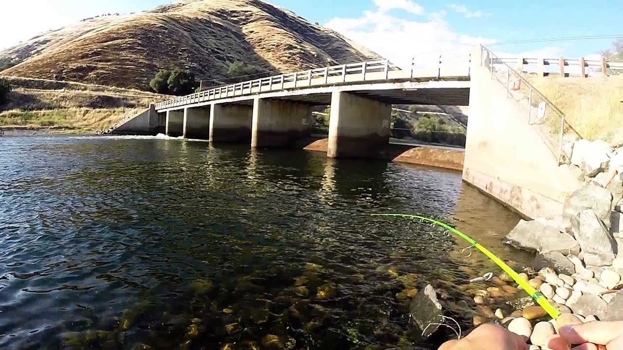 Summer time Rainbow Trout Fishing the Kings River! YouTube