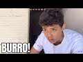 RELATOS DE UM BURRO JOGANDO XADREZ