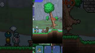 Coding my viewers ideas into Terraria 6