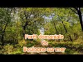 Randonnée au coeur de la nature verte Boulonnaise