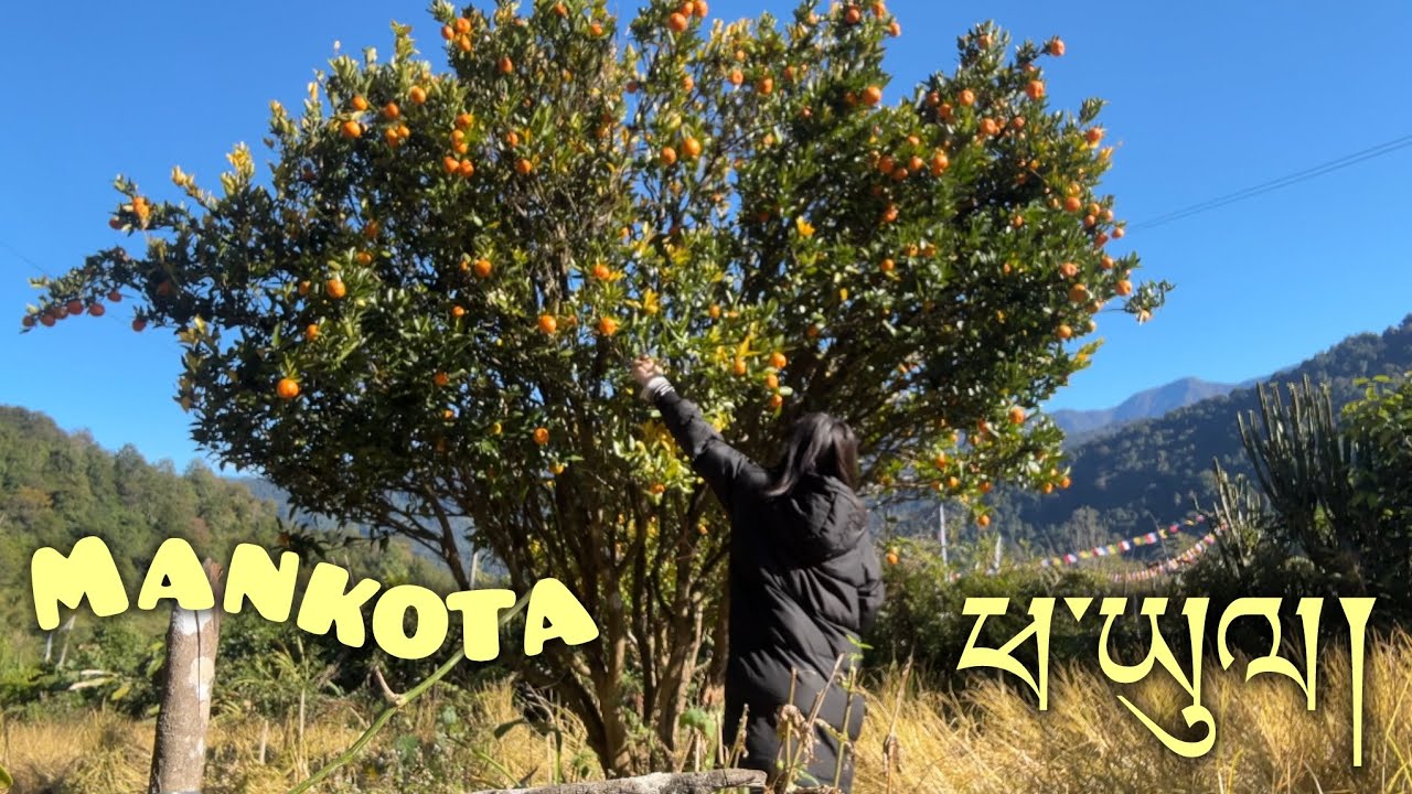 V/46~ 𝗔 𝗱𝗮𝘆 𝗶𝗻 𝗺𝘆 𝘃𝗶𝗹𝗹𝗮𝗴𝗲 | 𝗛𝗮𝗿𝘃𝗲𝘀𝘁𝗶𝗻𝗴 𝗼𝗿𝗮𝗻𝗴𝗲𝘀 🍊 🍐