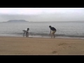 雨の中の海で相撲してみた!