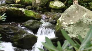 The River Will Flow by White Heart